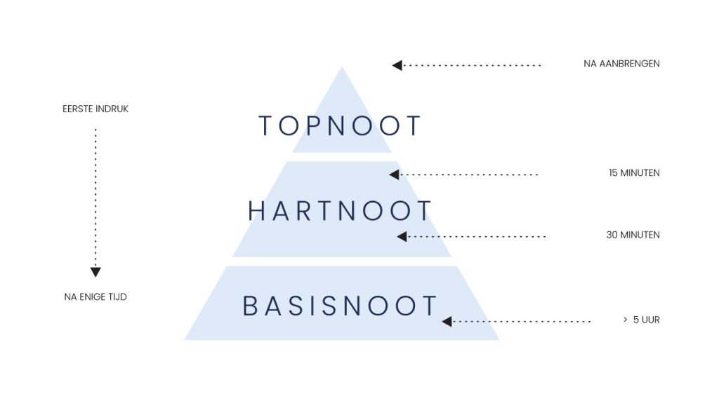 geurpiramide uitleg
